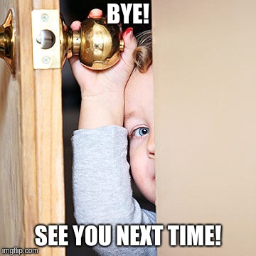 Bye! See you next time. | BYE! SEE YOU NEXT TIME! | image tagged in bye see you next time | made w/ Imgflip meme maker
