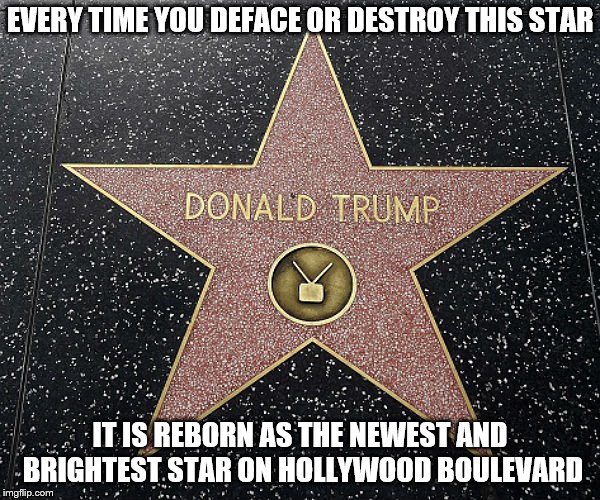 Hollywood Star | EVERY TIME YOU DEFACE OR DESTROY THIS STAR; IT IS REBORN AS THE NEWEST AND BRIGHTEST STAR ON HOLLYWOOD BOULEVARD | image tagged in trump,hollywood | made w/ Imgflip meme maker