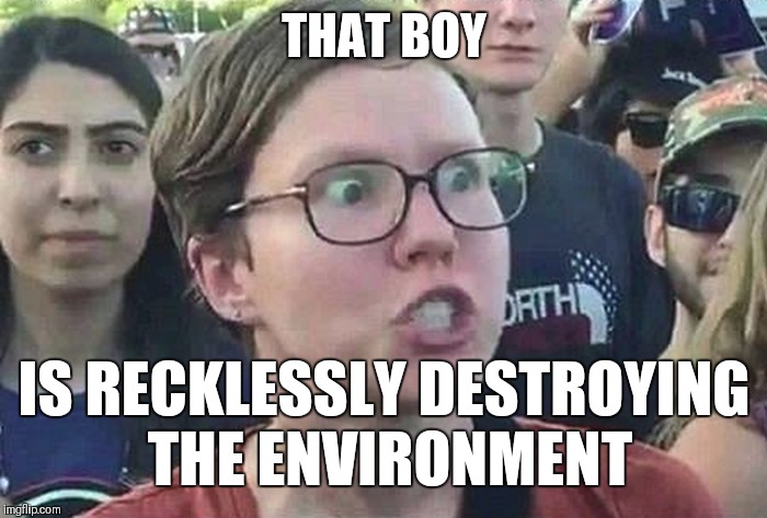 Triggered Liberal | THAT BOY IS RECKLESSLY DESTROYING THE ENVIRONMENT | image tagged in triggered liberal | made w/ Imgflip meme maker