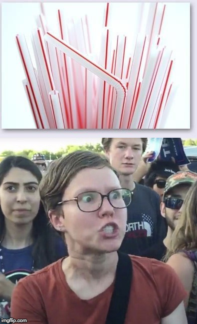 No caption needed. | image tagged in triggered feminist,triggered,california,plastic straws,straws | made w/ Imgflip meme maker
