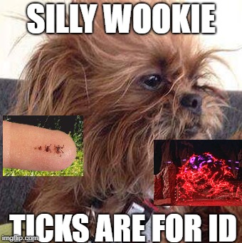 silly wookie | SILLY WOOKIE; TICKS ARE FOR ID | image tagged in ticks | made w/ Imgflip meme maker