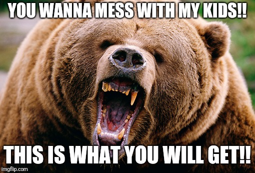 Momma Bear | YOU WANNA MESS WITH MY KIDS!! THIS IS WHAT YOU WILL GET!! | image tagged in momma bear | made w/ Imgflip meme maker