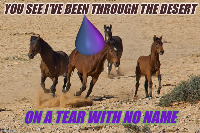 YOU SEE I'VE BEEN THROUGH THE DESERT ON A TEAR WITH NO NAME | made w/ Imgflip meme maker