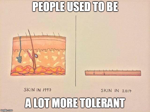 Thin-Skinned Wimps | PEOPLE USED TO BE; A LOT MORE TOLERANT | image tagged in skin,intolerance,puns | made w/ Imgflip meme maker