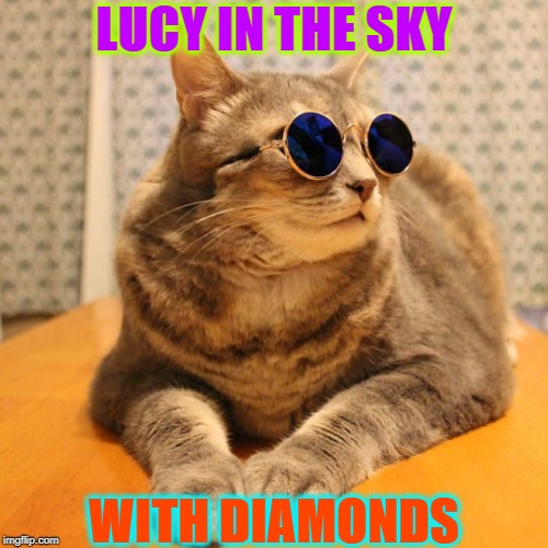 LUCY IN THE SKY; WITH DIAMONDS | image tagged in lennon cat | made w/ Imgflip meme maker