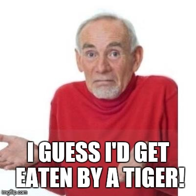 I guess ill die | I GUESS I'D GET EATEN BY A TIGER! | image tagged in i guess ill die | made w/ Imgflip meme maker