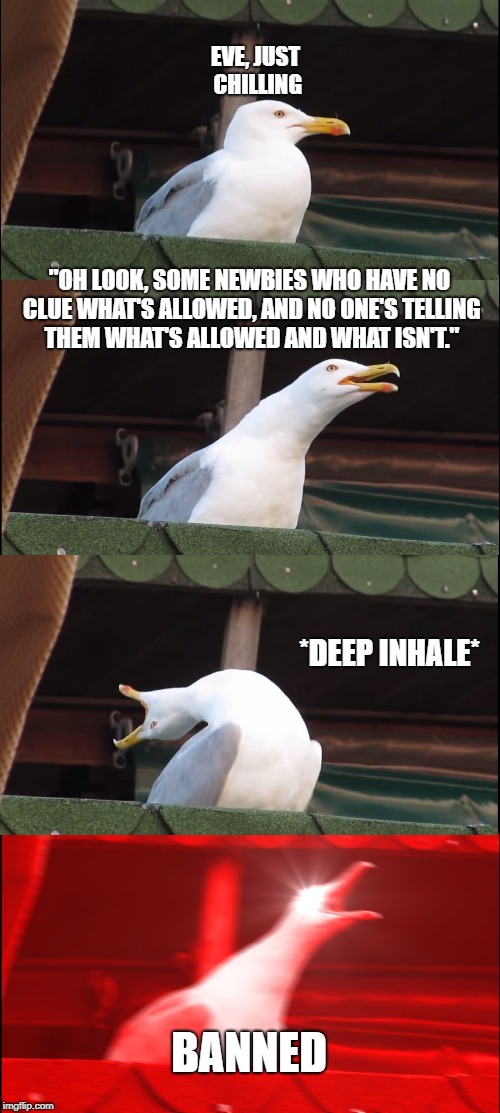 Inhaling Seagull Meme | EVE, JUST CHILLING; "OH LOOK, SOME NEWBIES WHO HAVE NO CLUE WHAT'S ALLOWED, AND NO ONE'S TELLING THEM WHAT'S ALLOWED AND WHAT ISN'T."; *DEEP INHALE*; BANNED | image tagged in memes,inhaling seagull | made w/ Imgflip meme maker
