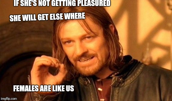 One Does Not Simply | IF SHE'S NOT GETTING PLEASURED; SHE WILL GET ELSE WHERE; FEMALES ARE LIKE US | image tagged in memes,one does not simply | made w/ Imgflip meme maker