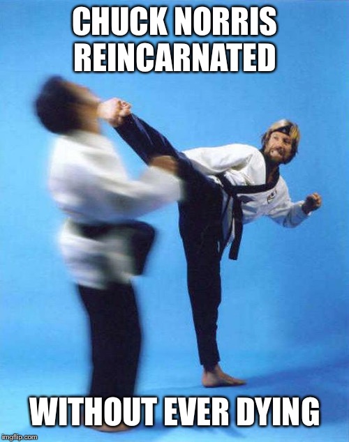 Roundhouse Kick Chuck Norris | CHUCK NORRIS REINCARNATED; WITHOUT EVER DYING | image tagged in roundhouse kick chuck norris | made w/ Imgflip meme maker