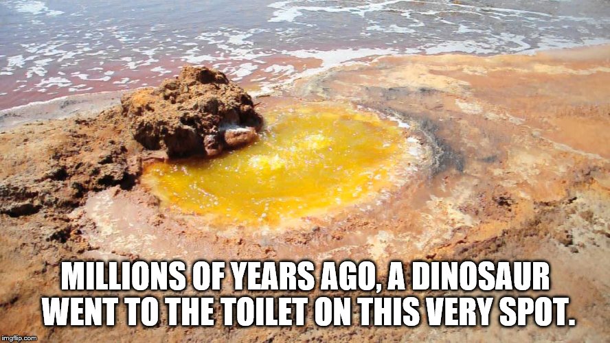 MILLIONS OF YEARS AGO, A DINOSAUR WENT TO THE TOILET ON THIS VERY SPOT. | image tagged in yellow lake | made w/ Imgflip meme maker