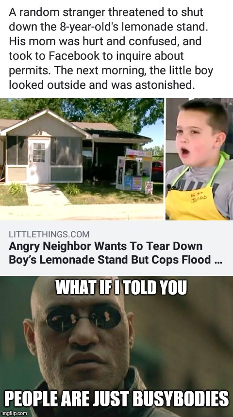 Sounds just like permit Patty, but the kids not black. Maybe not every bad thing that happens to a black person is racism. | WHAT IF I TOLD YOU; PEOPLE ARE JUST BUSYBODIES | image tagged in memes,matrix morpheus | made w/ Imgflip meme maker