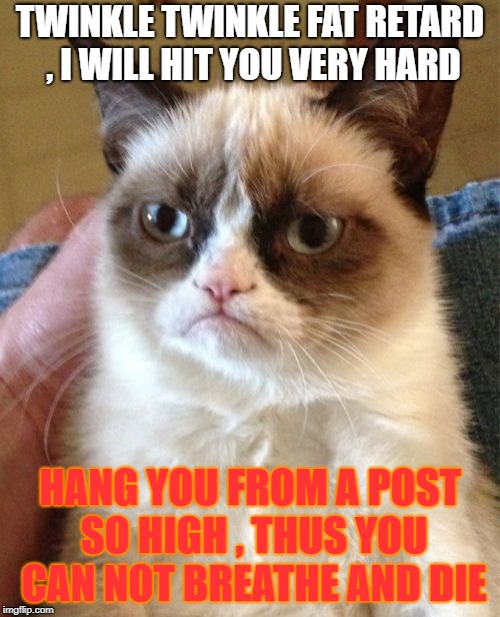 Grumpy Cat | TWINKLE TWINKLE FAT RETARD , I WILL HIT YOU VERY HARD; HANG YOU FROM A POST SO HIGH , THUS YOU CAN NOT BREATHE AND DIE | image tagged in memes,grumpy cat | made w/ Imgflip meme maker