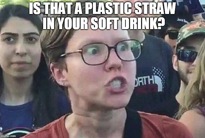 Triggered Liberal | IS THAT A PLASTIC STRAW IN YOUR SOFT DRINK? | image tagged in triggered liberal | made w/ Imgflip meme maker