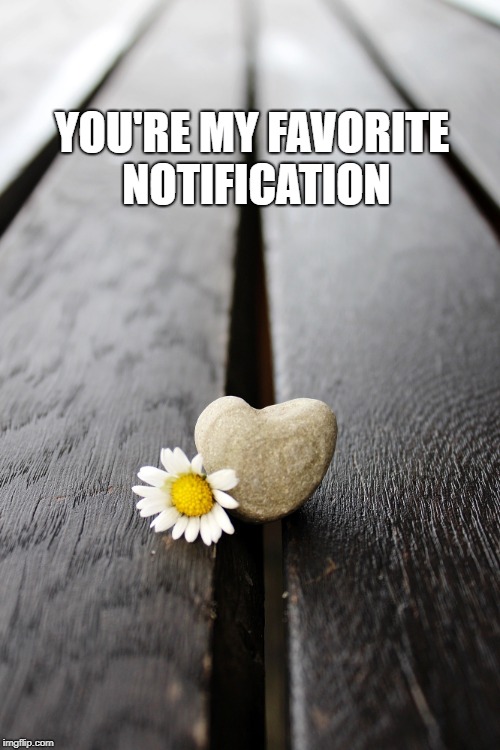 YOU'RE MY FAVORITE NOTIFICATION | made w/ Imgflip meme maker