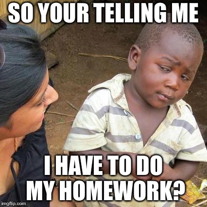 Third World Skeptical Kid | SO YOUR TELLING ME; I HAVE TO DO MY HOMEWORK? | image tagged in memes,third world skeptical kid | made w/ Imgflip meme maker