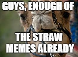 His back just can't take any more... | GUYS, ENOUGH OF; THE STRAW MEMES ALREADY | image tagged in plastic straws,straws,hump day camel | made w/ Imgflip meme maker