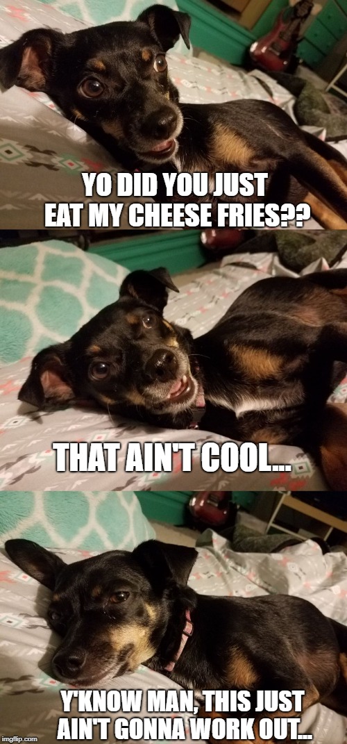 Shocking Disappointment | YO DID YOU JUST EAT MY CHEESE FRIES?? THAT AIN'T COOL... Y'KNOW MAN, THIS JUST AIN'T GONNA WORK OUT... | image tagged in shocking disappointment | made w/ Imgflip meme maker