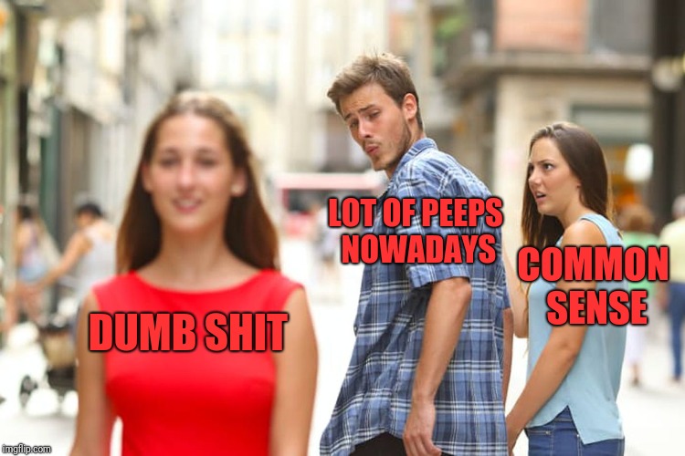 Distracted Boyfriend Meme | LOT OF PEEPS NOWADAYS; COMMON SENSE; DUMB SHIT | image tagged in memes,distracted boyfriend | made w/ Imgflip meme maker