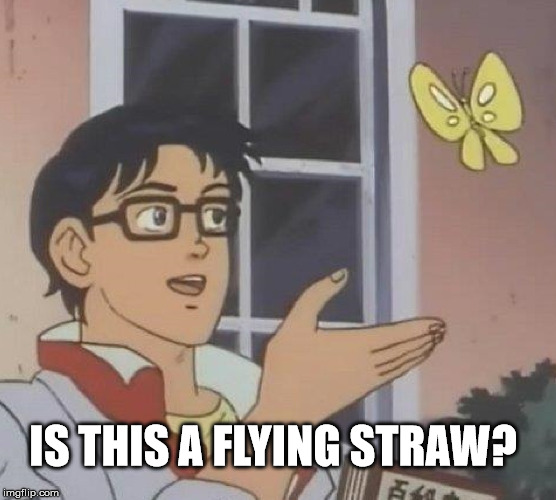 Is This A Pigeon Meme | IS THIS A FLYING STRAW? | image tagged in memes,is this a pigeon | made w/ Imgflip meme maker