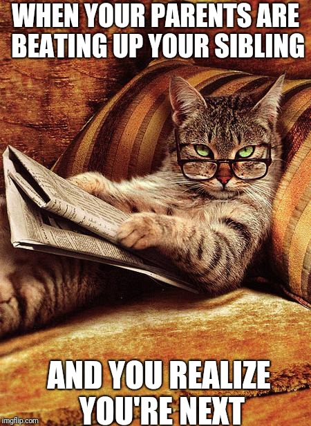 cat reading | WHEN YOUR PARENTS ARE BEATING UP YOUR SIBLING; AND YOU REALIZE YOU'RE NEXT | image tagged in cat reading | made w/ Imgflip meme maker
