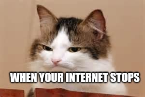 Disappointed Cat | WHEN YOUR INTERNET STOPS | image tagged in disappointed cat | made w/ Imgflip meme maker
