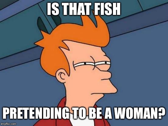 IS THAT FISH PRETENDING TO BE A WOMAN? | image tagged in memes,futurama fry | made w/ Imgflip meme maker