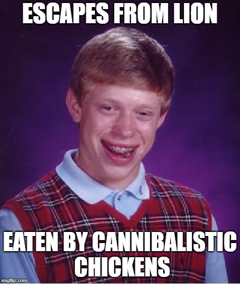 Bad Luck Brian Meme | ESCAPES FROM LION EATEN BY CANNIBALISTIC CHICKENS | image tagged in memes,bad luck brian | made w/ Imgflip meme maker