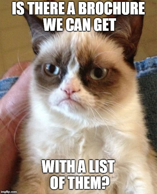 Grumpy Cat Meme | IS THERE A BROCHURE WE CAN GET WITH A LIST OF THEM? | image tagged in memes,grumpy cat | made w/ Imgflip meme maker