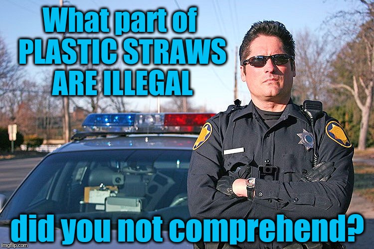 police | What part of PLASTIC STRAWS ARE ILLEGAL did you not comprehend? | image tagged in police | made w/ Imgflip meme maker
