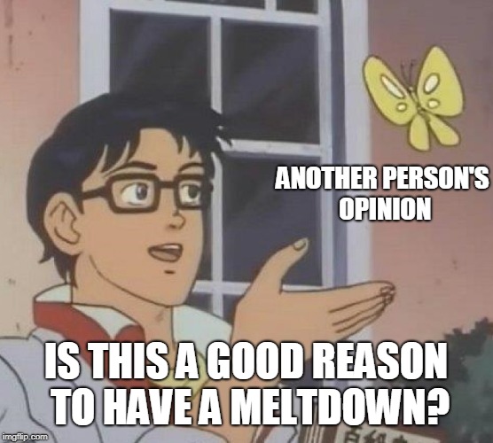 Is This A Pigeon Meme | ANOTHER PERSON'S OPINION IS THIS A GOOD REASON TO HAVE A MELTDOWN? | image tagged in memes,is this a pigeon | made w/ Imgflip meme maker