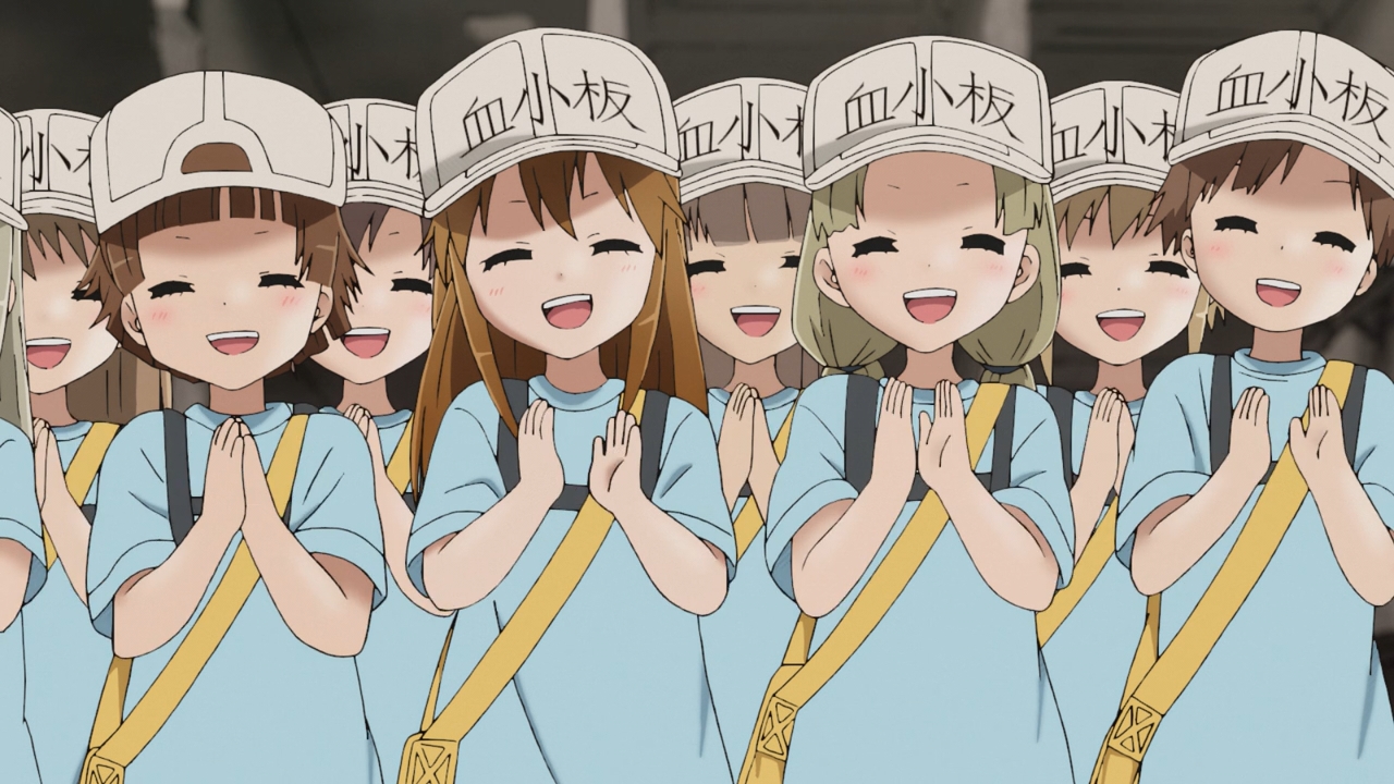High Quality platelets cells at work Blank Meme Template