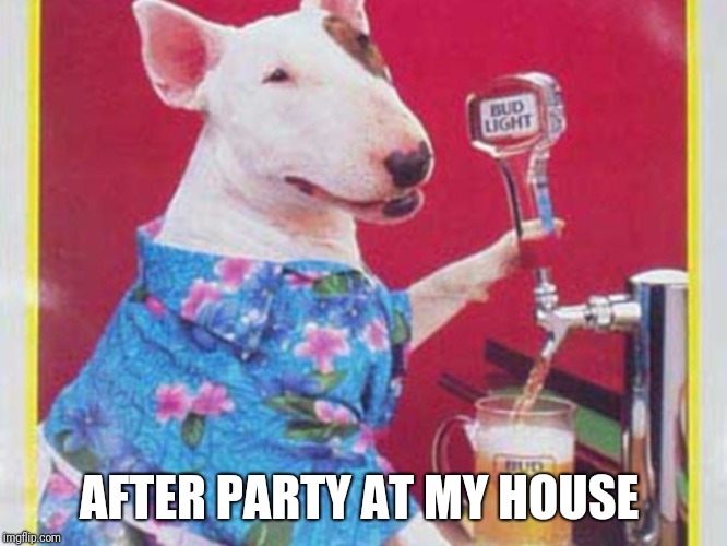 Spuds Mackenzie | AFTER PARTY AT MY HOUSE | image tagged in spuds mackenzie | made w/ Imgflip meme maker