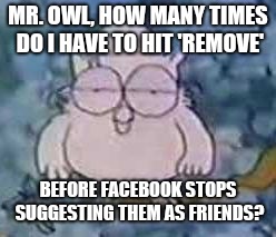 Tootsie Roll Owl | MR. OWL, HOW MANY TIMES DO I HAVE TO HIT 'REMOVE'; BEFORE FACEBOOK STOPS SUGGESTING THEM AS FRIENDS? | image tagged in tootsie roll owl | made w/ Imgflip meme maker