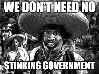 Badges | WE DON'T NEED NO STINKING GOVERNMENT | image tagged in badges | made w/ Imgflip meme maker