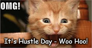 It's Highland Hustle Day! | It's Hustle Day - Woo Hoo! | image tagged in happy dance cat,excited cat,hustle | made w/ Imgflip meme maker
