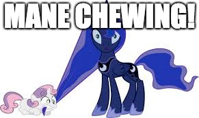 sweetie belle chewing on luna's mane | MANE CHEWING! | image tagged in sweetie belle chewing on luna's mane | made w/ Imgflip meme maker