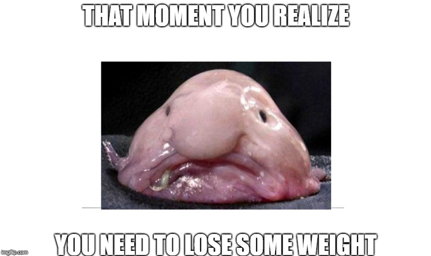 THAT MOMENT YOU REALIZE; YOU NEED TO LOSE SOME WEIGHT | image tagged in memes,funny | made w/ Imgflip meme maker