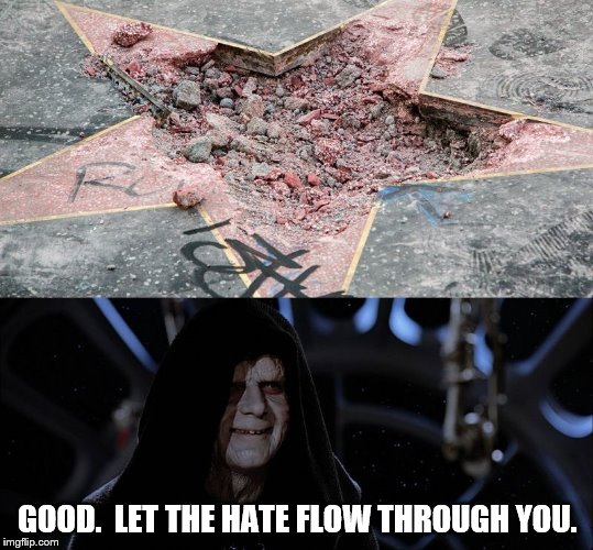 Good... | GOOD.  LET THE HATE FLOW THROUGH YOU. | image tagged in memes,trump,walk of fame,star,hate,hatred | made w/ Imgflip meme maker