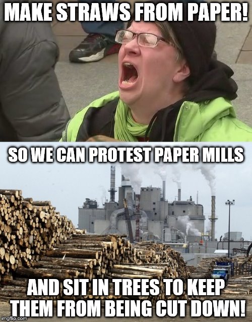 Make straws from paper! | MAKE STRAWS FROM PAPER! SO WE CAN PROTEST PAPER MILLS; AND SIT IN TREES TO KEEP THEM FROM BEING CUT DOWN! | image tagged in memes,straws,paper,trees,paper mills | made w/ Imgflip meme maker