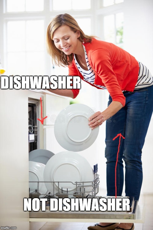 not dishwasher | DISHWASHER; NOT DISHWASHER | image tagged in dishwasher,not dishwasher | made w/ Imgflip meme maker