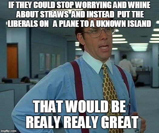 liberals where gonna move to canada yet they stil here  better port them to a unkowh island problem solved  | IF THEY COULD STOP WORRYING AND WHINE ABOUT STRAWS  AND INSTEAD  PUT THE LIBERALS ON   A PLANE TO A UKNOWN ISLAND; THAT WOULD BE  REALY REALY GREAT | image tagged in memes,that would be great | made w/ Imgflip meme maker