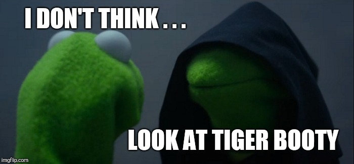Evil Kermit Meme | I DON'T THINK . . . LOOK AT TIGER BOOTY | image tagged in memes,evil kermit | made w/ Imgflip meme maker