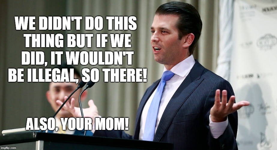 Don Jr Shrugs |  WE DIDN'T DO THIS THING BUT IF WE DID, IT WOULDN'T BE ILLEGAL, SO THERE! ALSO, YOUR MOM! | image tagged in donald trump,russia,collusion,trump russia collusion,russian collusion | made w/ Imgflip meme maker