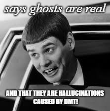 says ghosts are real; AND THAT THEY ARE HALLUCINATIONS CAUSED BY DMT! | image tagged in dumb | made w/ Imgflip meme maker