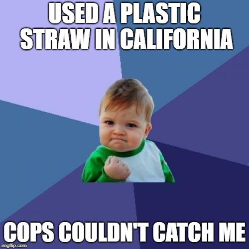 Success Kid Meme | USED A PLASTIC STRAW IN CALIFORNIA; COPS COULDN'T CATCH ME | image tagged in memes,success kid | made w/ Imgflip meme maker