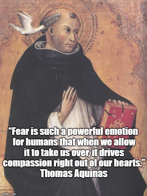 â€œFear is such a powerful emotion for humans that when we allow it to take us over, it drives compassion right out of our hearts.â€ Thomas Aqu | made w/ Imgflip meme maker