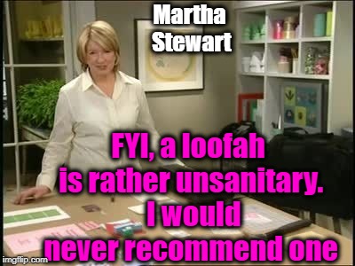 Martha Stewart FYI, a loofah is rather unsanitary.  I would never recommend one | made w/ Imgflip meme maker