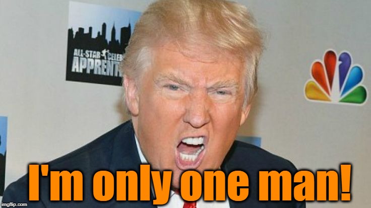 I'm only one man! | image tagged in trump mad | made w/ Imgflip meme maker