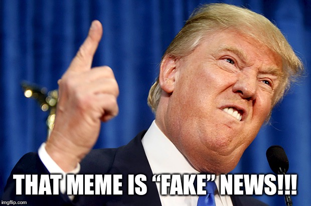 Donald Trump | THAT MEME IS “FAKE” NEWS!!! | image tagged in donald trump | made w/ Imgflip meme maker