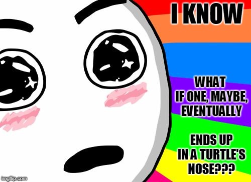 amazing | I KNOW WHAT IF ONE, MAYBE, EVENTUALLY ENDS UP IN A TURTLE'S NOSE??? | image tagged in amazing | made w/ Imgflip meme maker